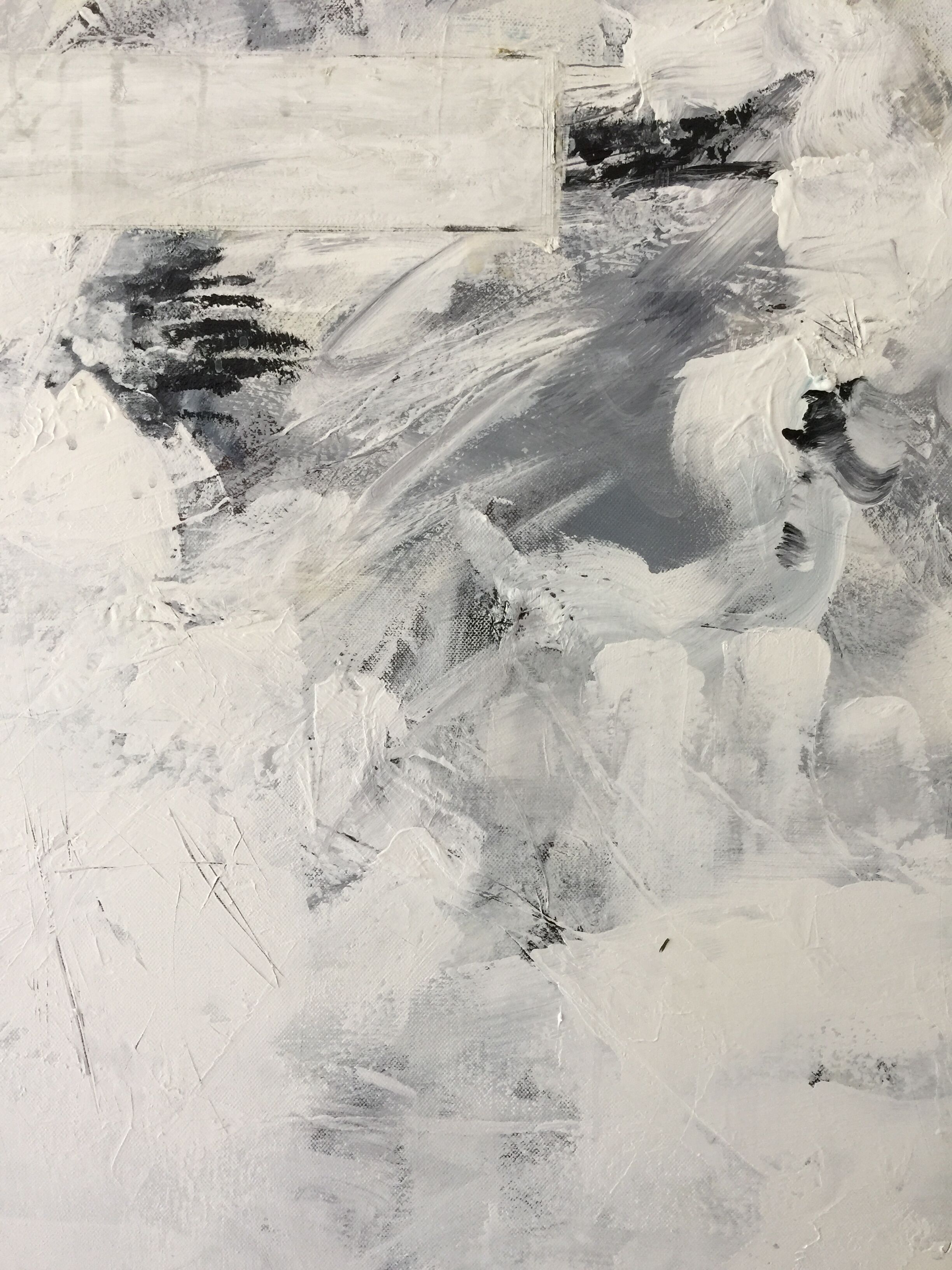 Acrylic paint on chassis