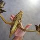Art Deco wall lamp 30s in bronze