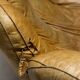 Radical Softness: The Original 1970s Joe Leather Armchair by Poltronova