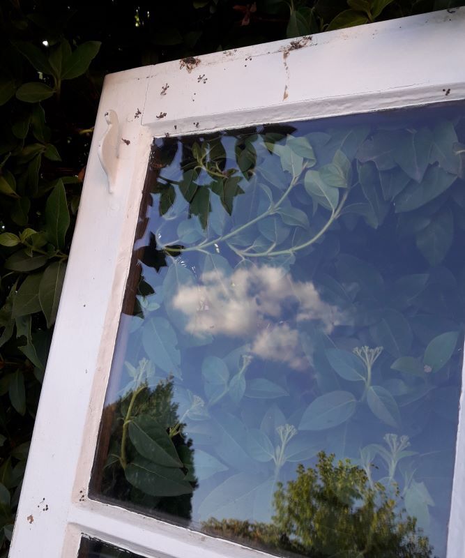 Glass window h141xl263 in oak 4 leaves