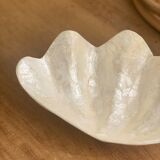 Pearly white shell benign cup