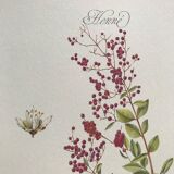 Botanical plank the Henné