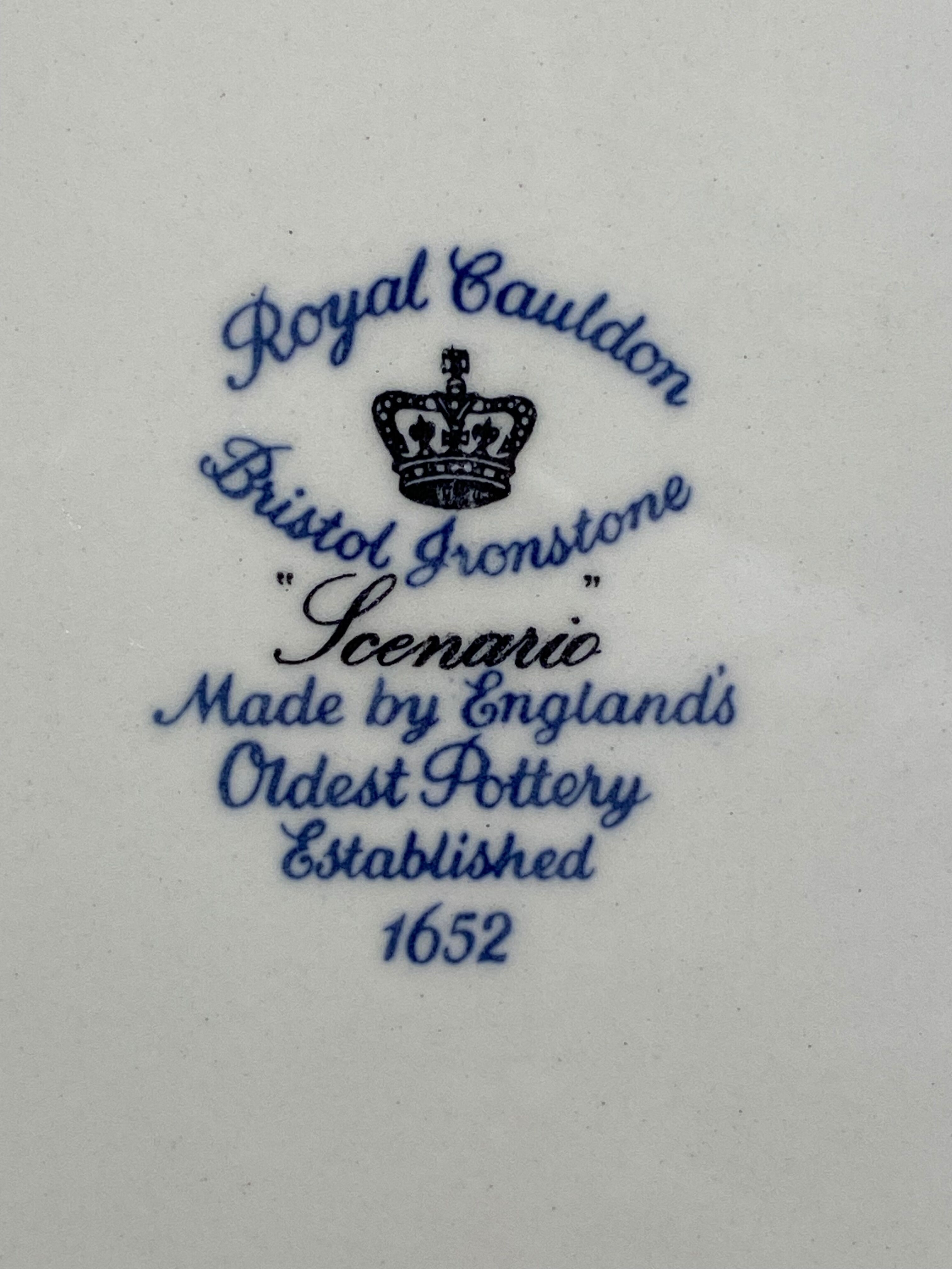 Suite of 5 large English ceramic plates Royal Cauldon Bristol Ironstone "Scenario"