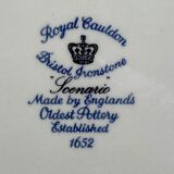 Suite of 5 large English ceramic plates Royal Cauldon Bristol Ironstone "Scenario"