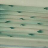 Plat a asperges en barbotine faience digoin sarreguemines