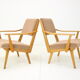 Paire de fauteuils par Krasna Jizba, Tchécoslovaquie 1960