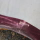 Canapé Voltaire arrondi velours violet