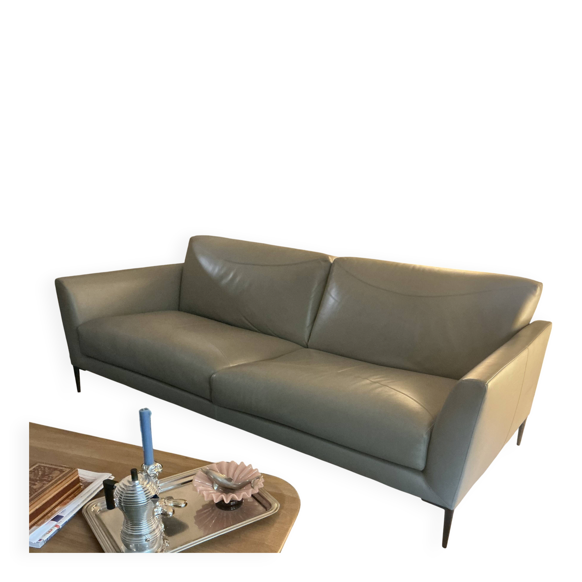 Sacha Lakic RocheBobois model
