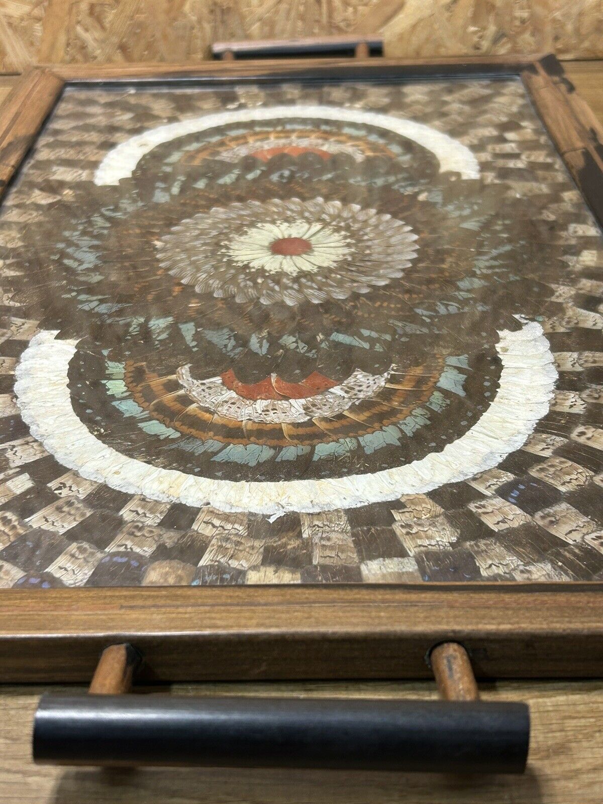 Plateau art déco, ailes de papillons, brésil, déco vintage ethnique