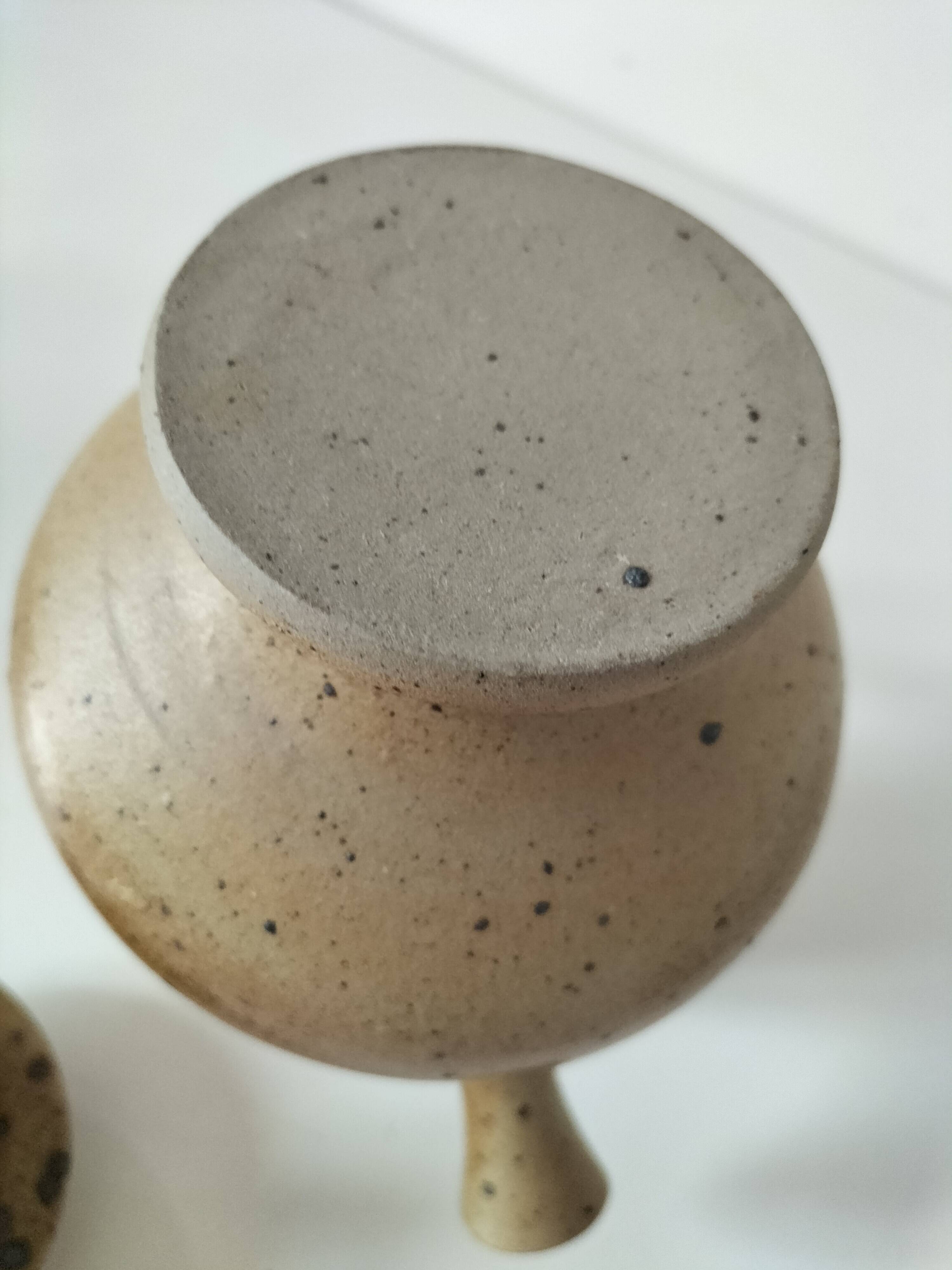 Pyrite stoneware ewer, potter's work, sculptural piece
