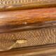 Commode osier et rotin