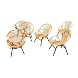 6 chairs shell 1950