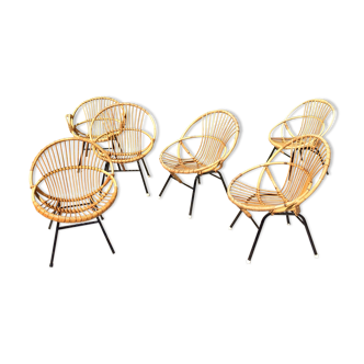 6 chairs shell 1950