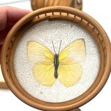 Bamboo Tray with 12 Colonial Style Butterfly Coasters