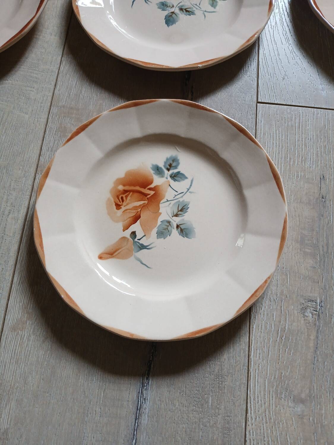 25 old Digoin and Sarreguemines plates