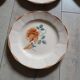 25 old Digoin and Sarreguemines plates