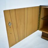 Pair of Midcentury Czechoslovakian Bedside Tables, 1940s