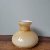 Vintage opaline lampshade lamp globe