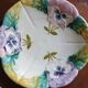 Plate of pansy slip
