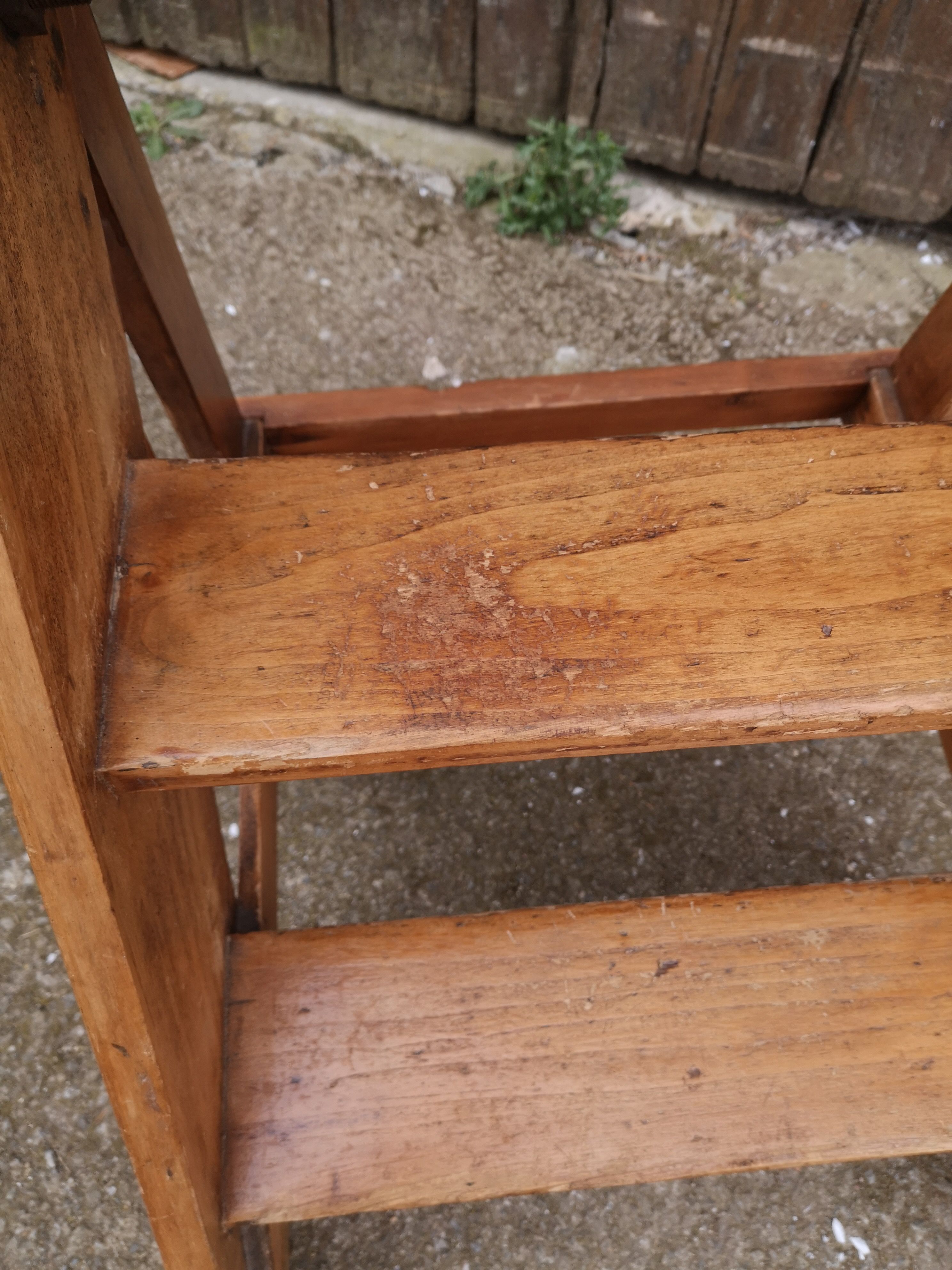 Library ladder said giraffe