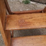 Library ladder said giraffe