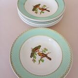 8 soup plates Fenal Badonviller "Birds" vintage 1950s