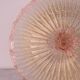 Large size iitalian pink and murano glass ceiling flower
