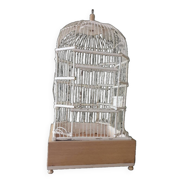 Cage à oiseaux 1900
