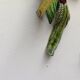 Two exotic birds in slip to hang