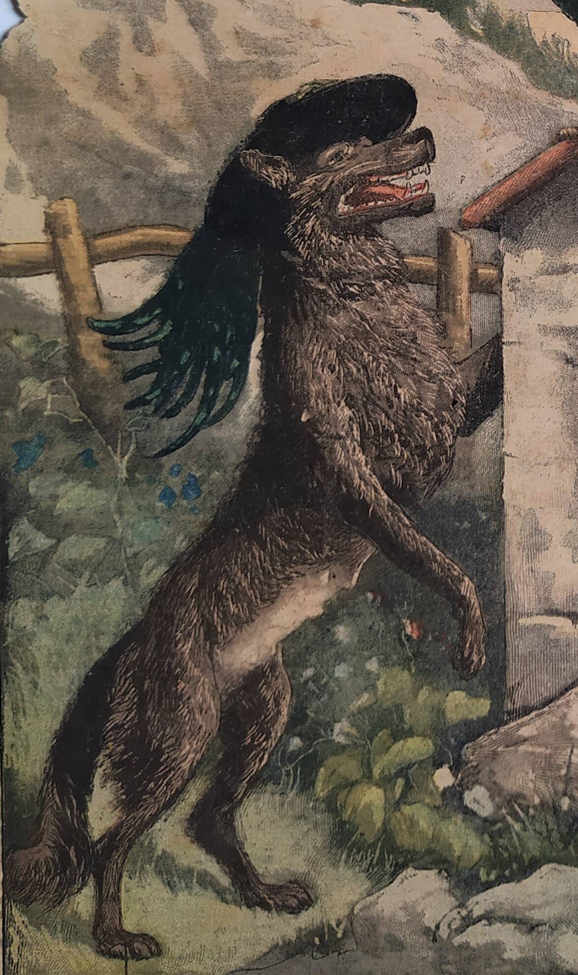 Come on Poupoule! Come ! ...1903