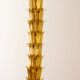 Exquisite Italian Golden Palm Tree Floor Lamp with 3 Sparkling Branches 70s