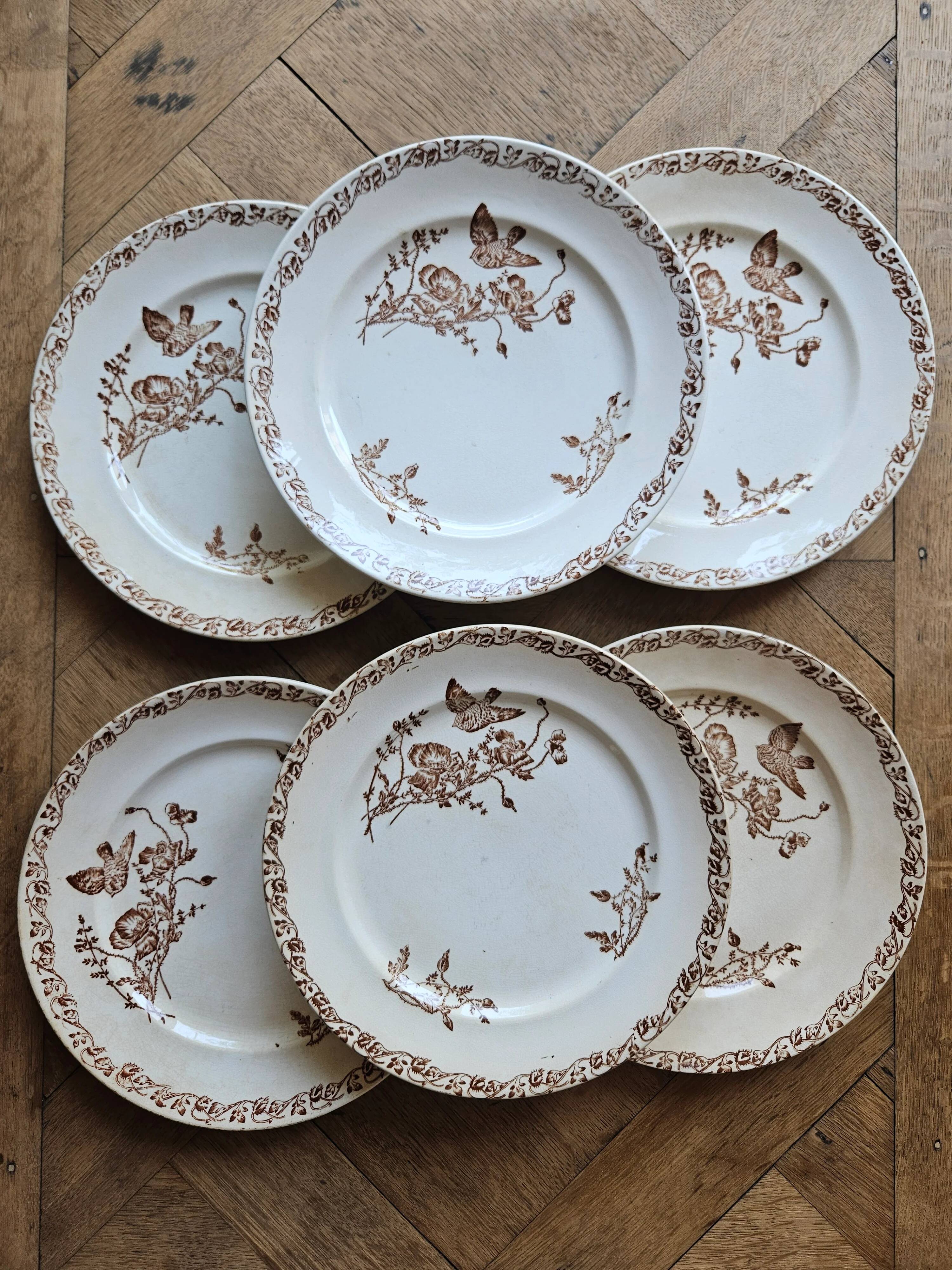 Flat plates, ironstone, poppies