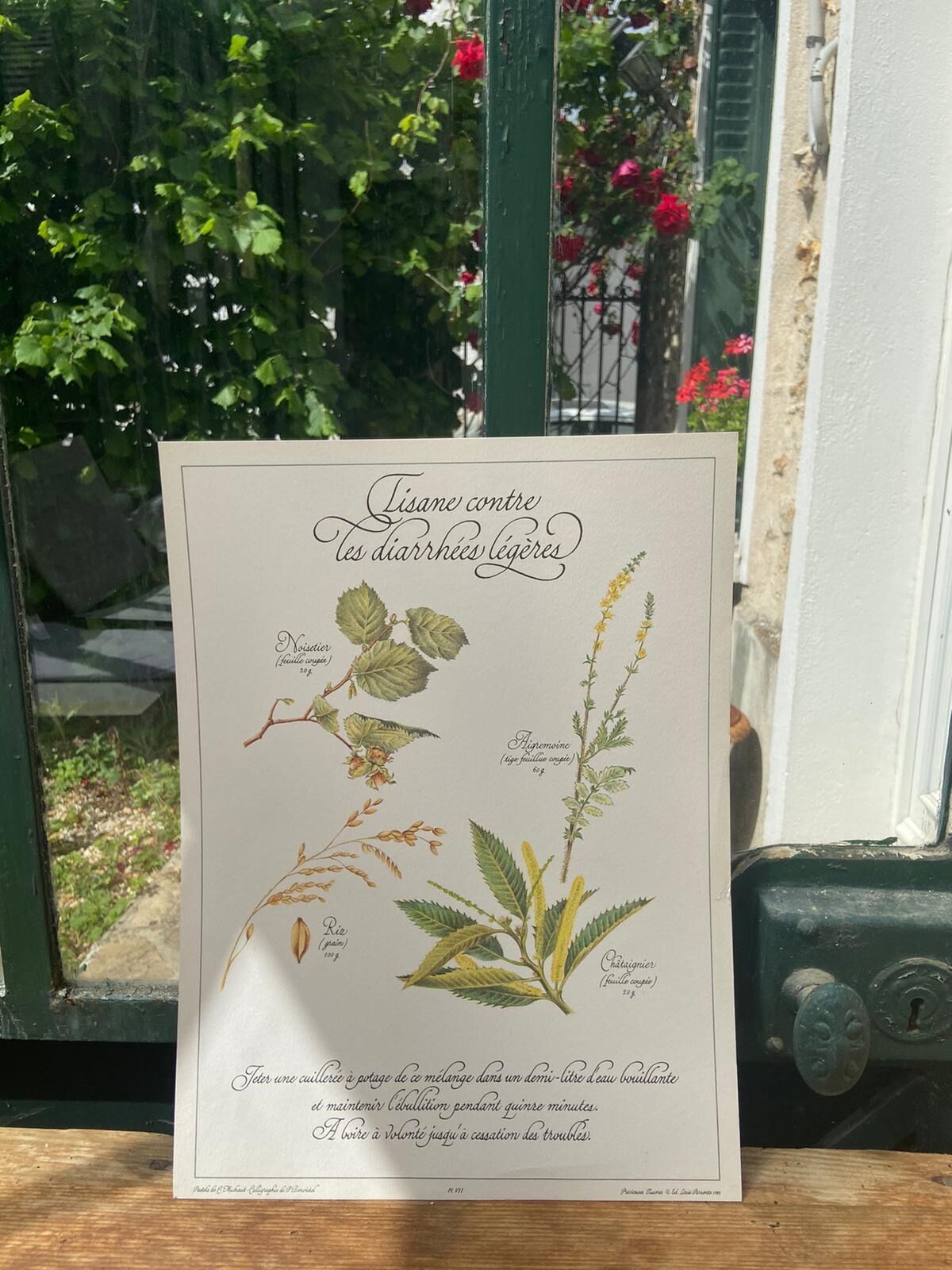 Botanical plank "Tisane against mild diarrhea"