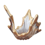 Golden glass fruit cup