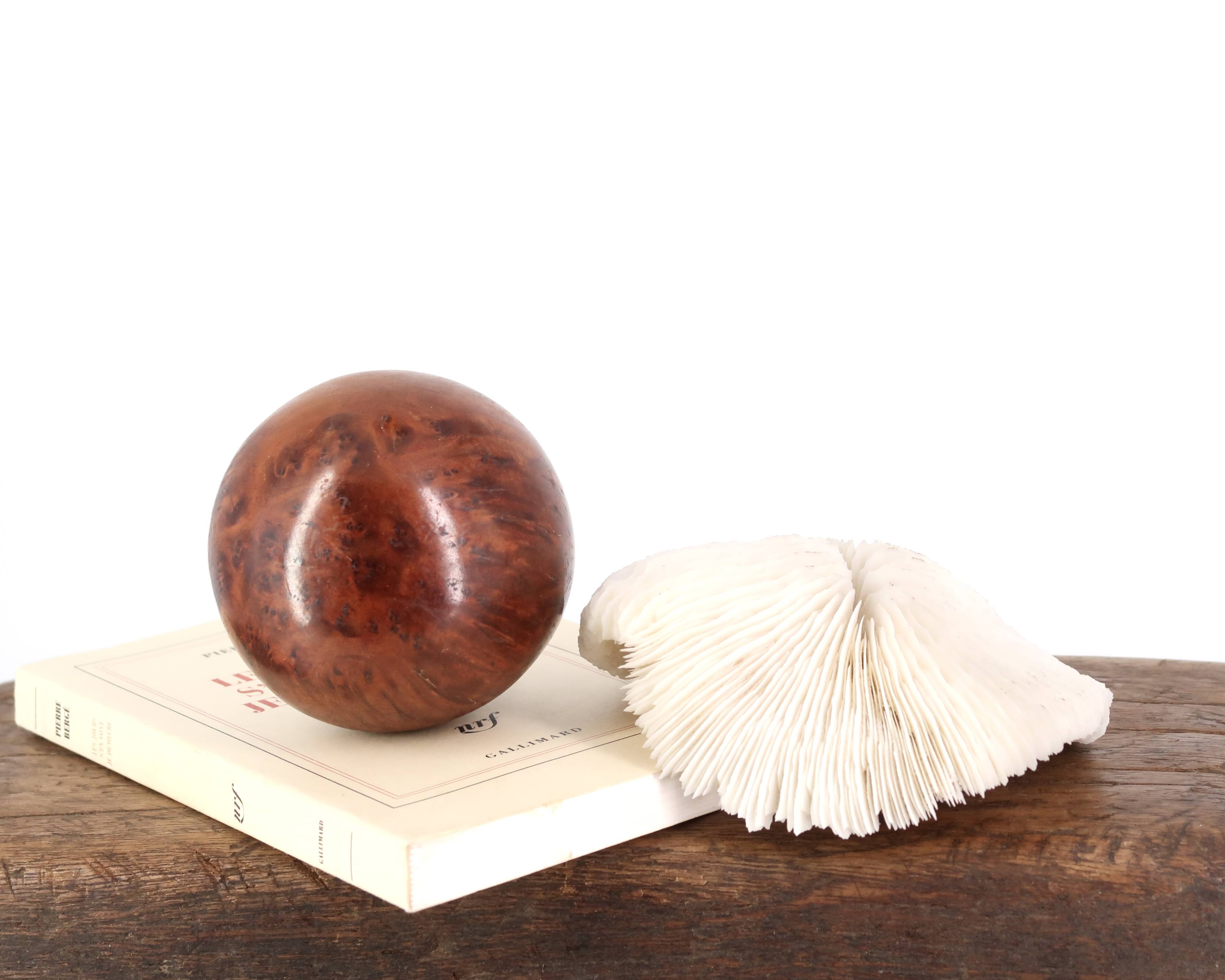 Natural white coral, 70s