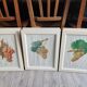 Framed reproduction lithograph of the ampelography treaty by Viala 1901.