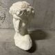 Bust of David