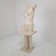 Sculptural Contemporary Female Torso Crafted from Layered Reclaimed Mactan