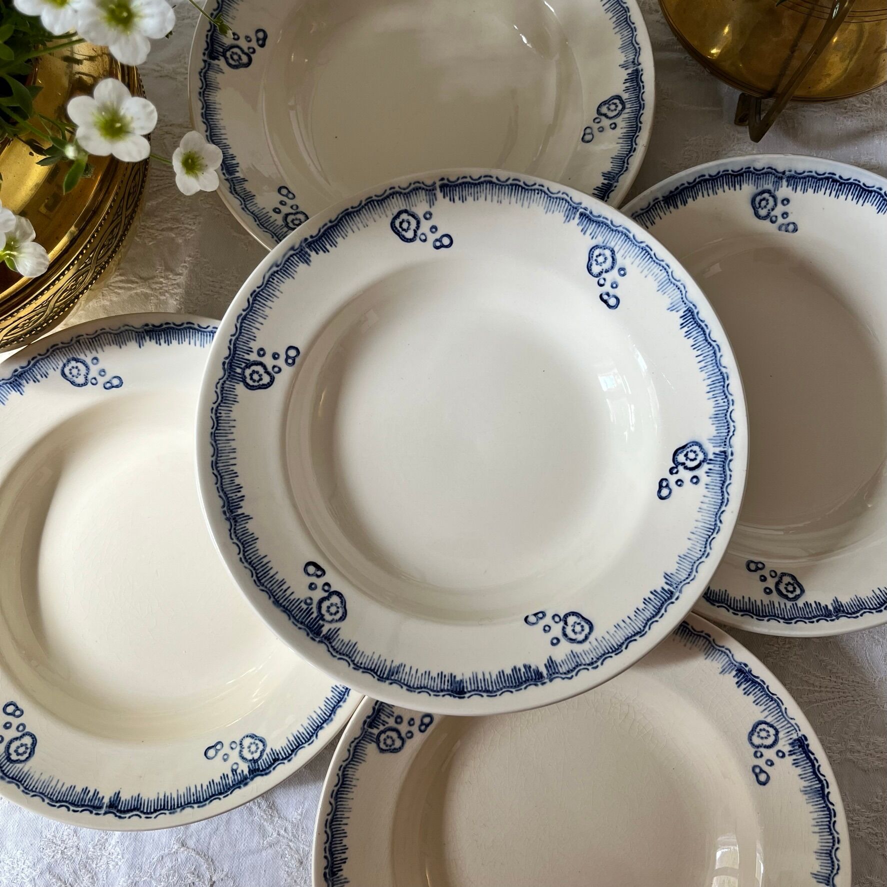 5 hollow plates in vintage Longwy earthenware - Tunis model