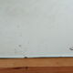 Beveled mirror years "50", 120×60 cm