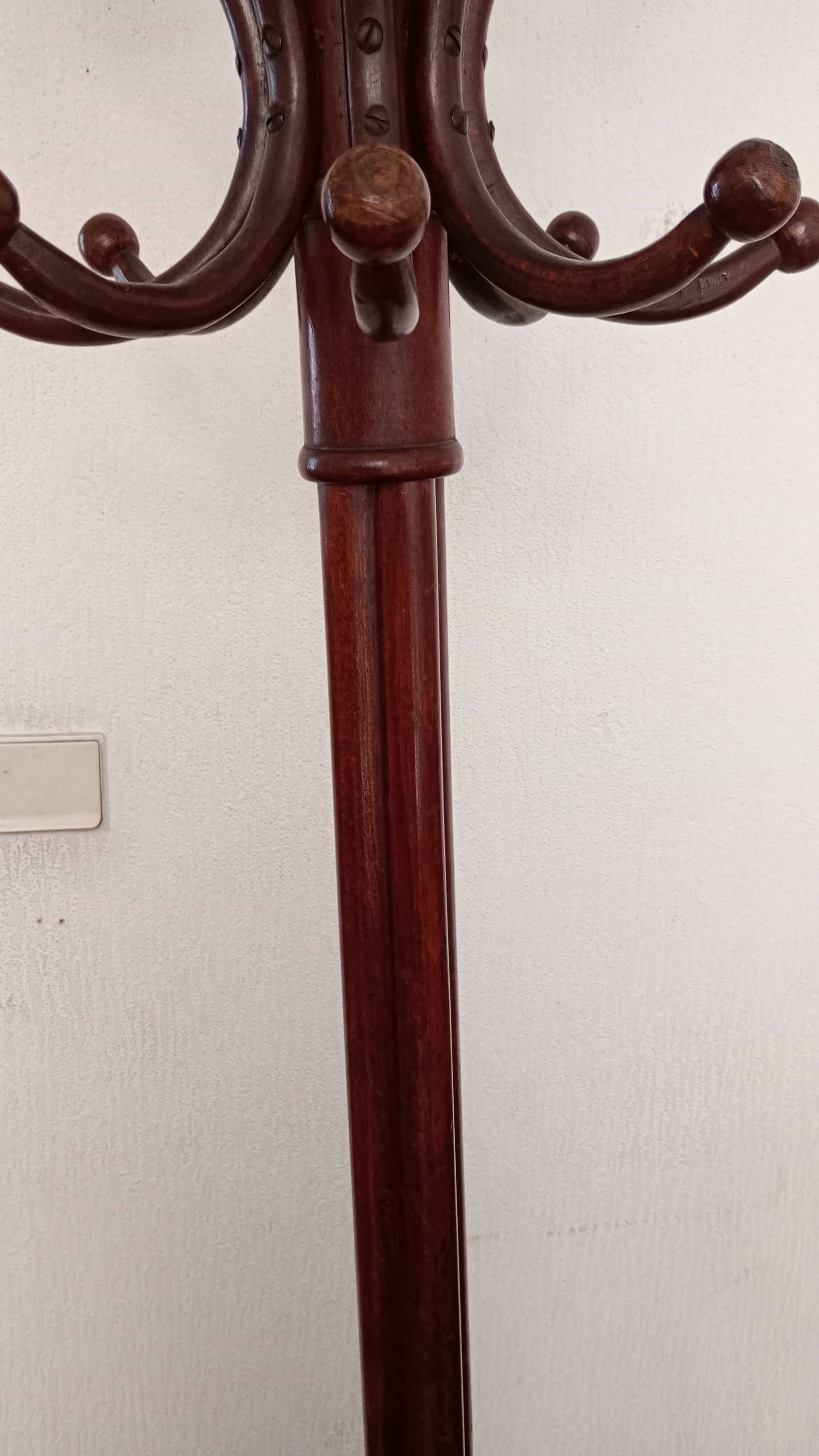 Old parrot coat rack