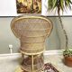 Vintage Emmanuelle armchair