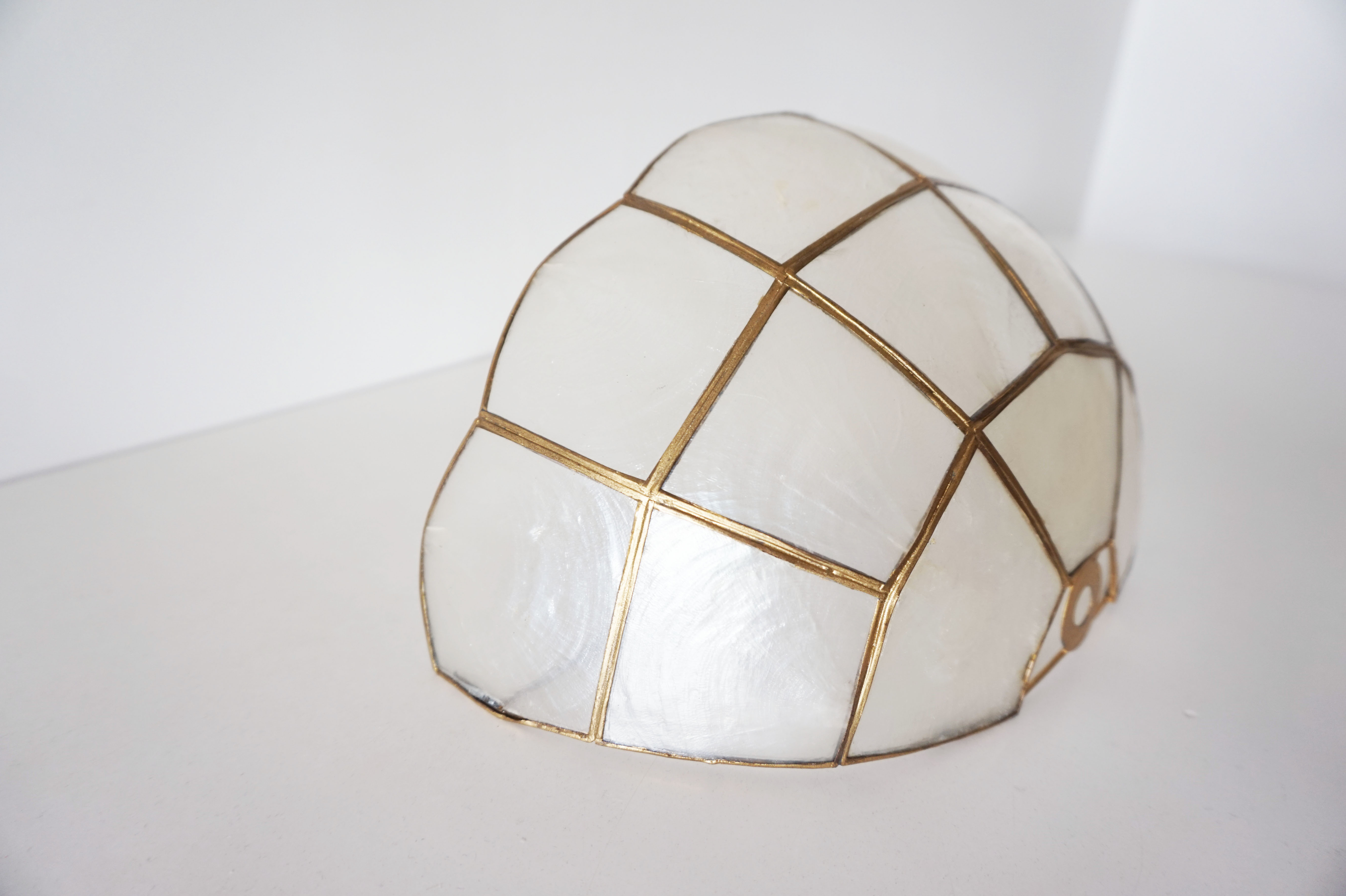 Mother-of-pearl shell shape wall lamp