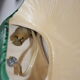 Pair of porcelain wall light art deco era
