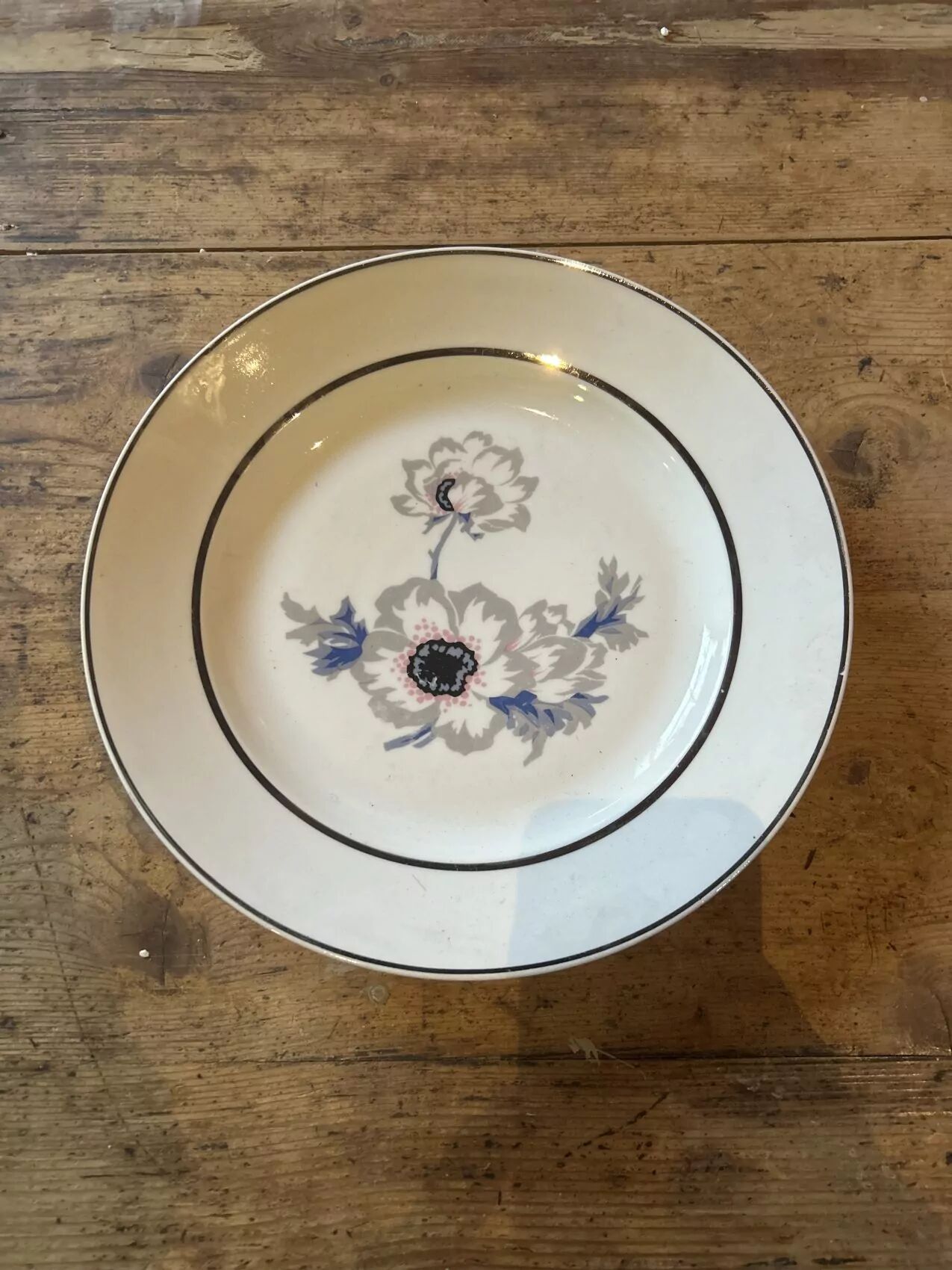 Set of 12 antique porcelain plates with anemone pattern + matching large plate 29.5 cm