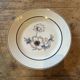 Set of 12 antique porcelain plates with anemone pattern + matching large plate 29.5 cm