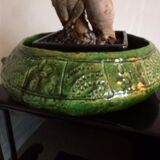 Cache pot