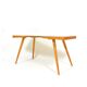 Table basse Interiér Praha tchécoslovaque des années 1960