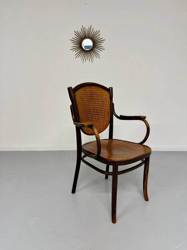 Fauteuil Art Nouveau modèle 1059 Michael Thonet, 1920