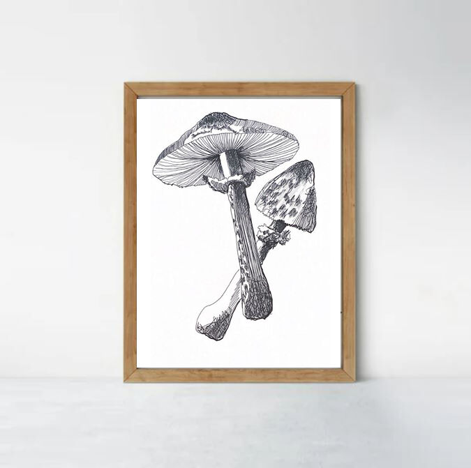 Illustration " Pick " A3